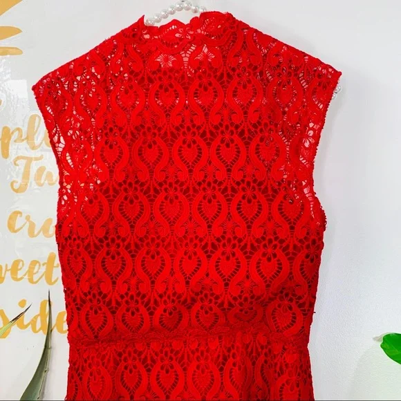 MIKAEL AGHAL Red Lace Sleeveless Midi Dress Size 2 - Picture 4 of 15